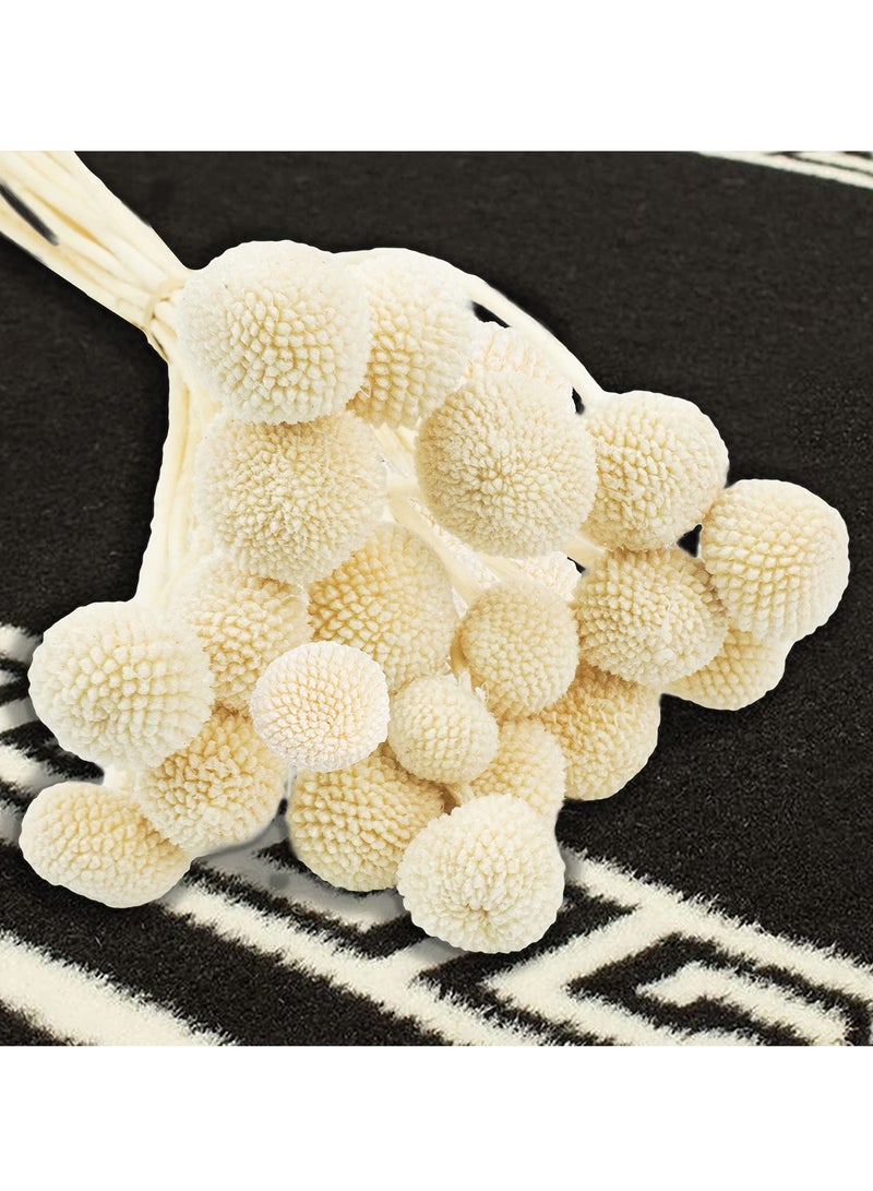 زهور كراسبيديا المجففة، 20 قطعة من كرات زهور بيلي باتون المجففة لتزيين المنزل والمكتب والحفلات وترتيبات الزهور للمناسبات والزفاف وديكور استحمام الأطفال بوهو - Image 1