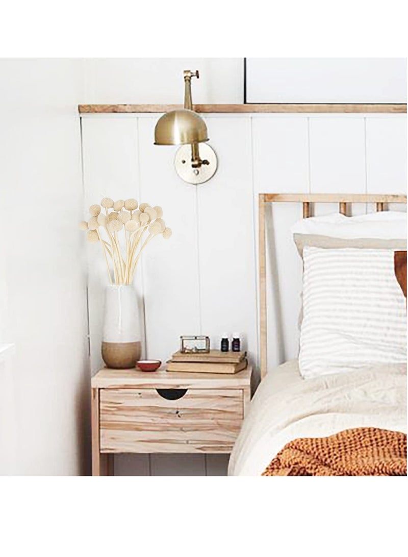 زهور كراسبيديا المجففة، 20 قطعة من كرات زهور بيلي باتون المجففة لتزيين المنزل والمكتب والحفلات وترتيبات الزهور للمناسبات والزفاف وديكور استحمام الأطفال بوهو - Image 5