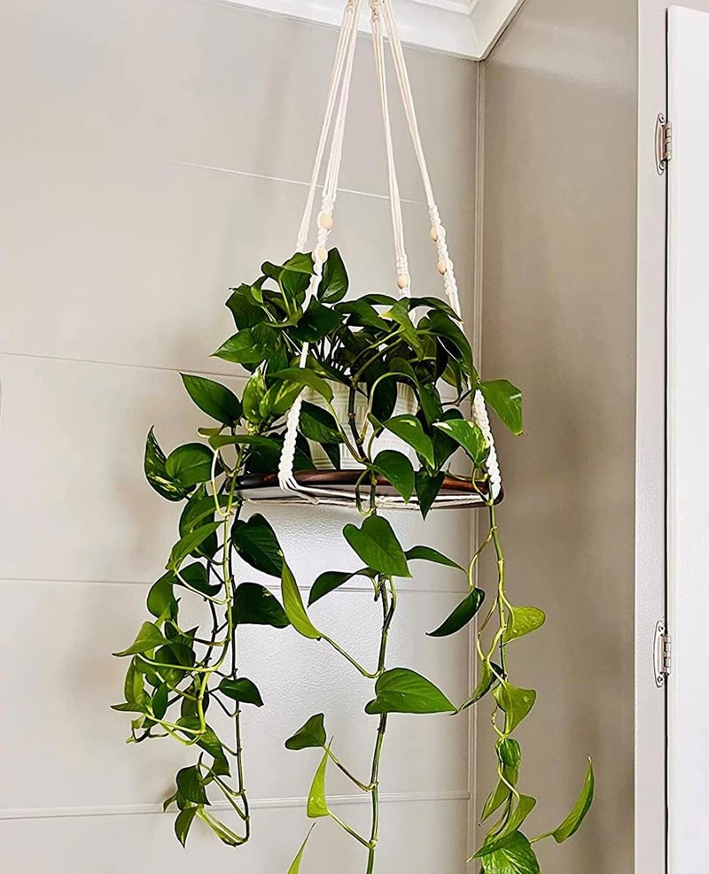 Shineloha 2 Pack Macrame Plant Hanger | Plant Hanger Indoor, Hanging Planter Shelf | Hanging Planter (Beige) (1 Large + 1 Medium) - Image 2