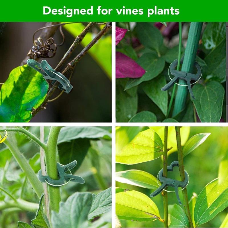 iPower iPower 80 PCS Clips for Straightening Bamboo Stakes and Tomato Cages Gardening Tools for Supporting Climbing Vines Stalks Stems and Plant Trellis Green  - Image 5