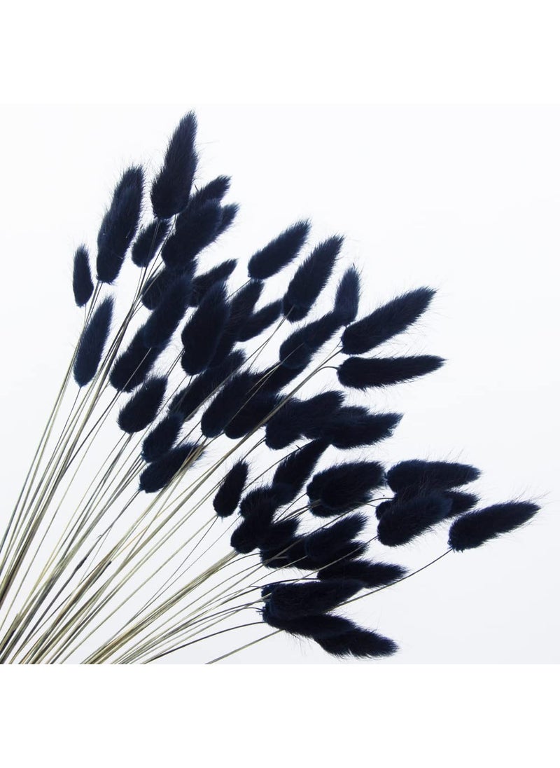 JOJAZE JOJAZE 60pcs Dried Bunny Tails Flowers Black Pampas Grass Natural Dried Floral Arrangement Dry Flowers for Halloween Christmas Boho Decor Home Wedding DIY Craft Decoration 16 