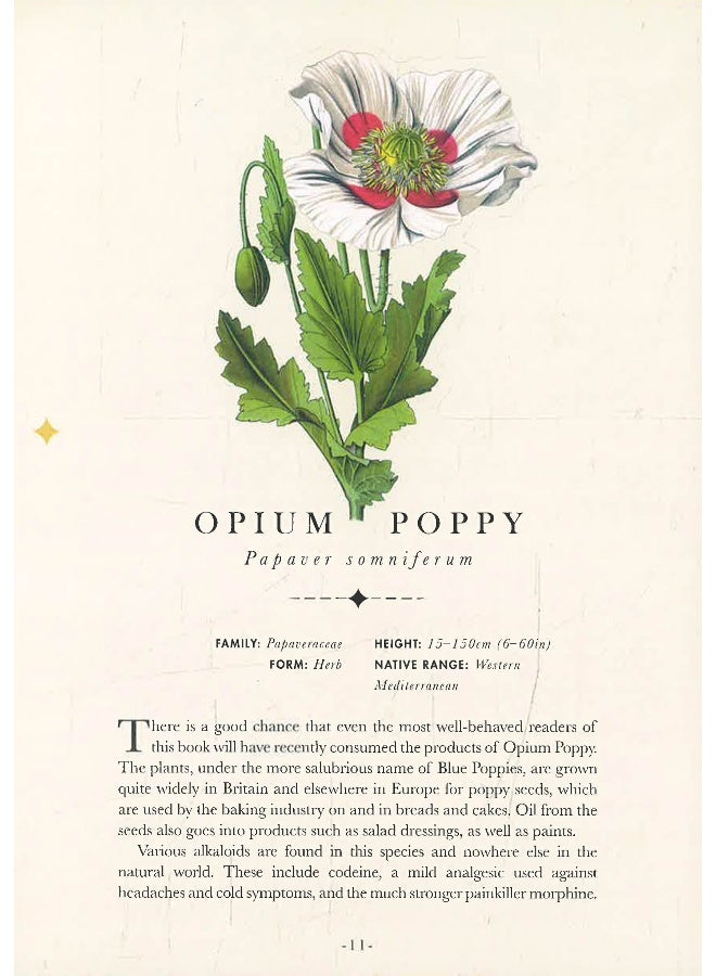 Paperscapes: The Flower Garden - Image 5