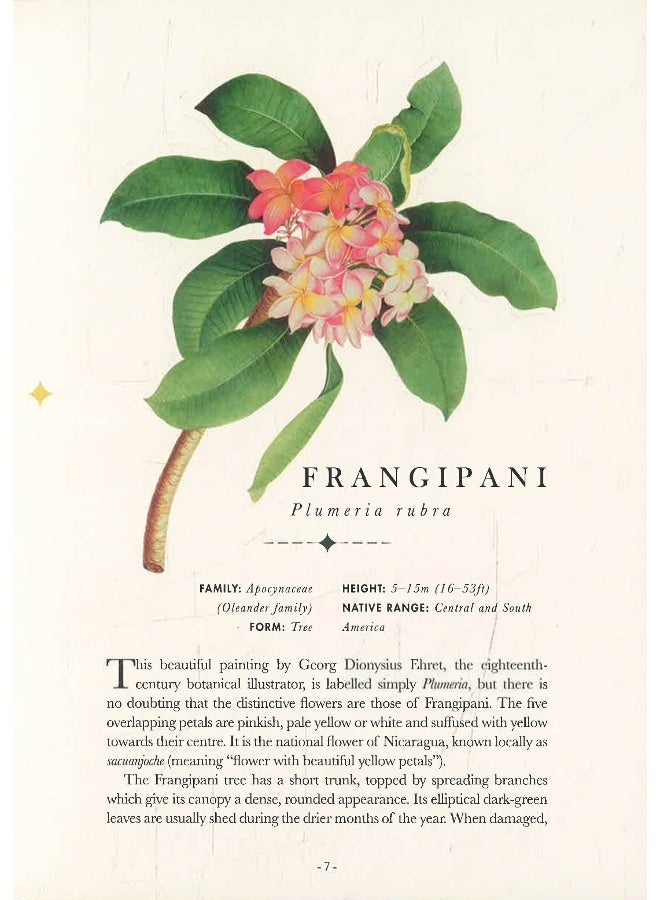 Paperscapes: The Flower Garden - Image 4