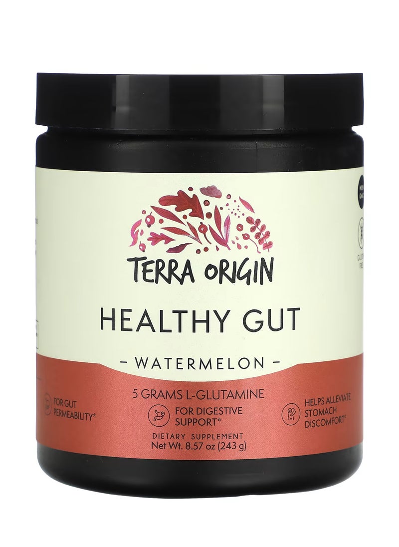 Terra Origin Healthy Gut, Watermelon, 8.57 oz (243 g)