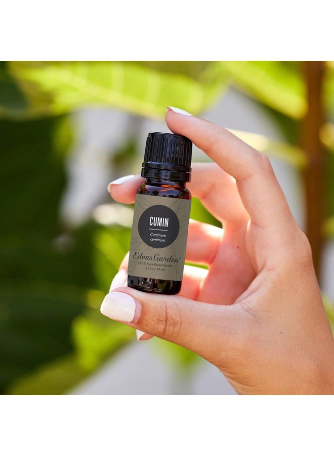 Edens Garden Cumin 100% Pure Therapeutic Grade Essential Oil, 30 mL - Image 2