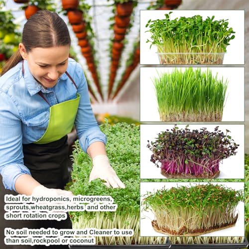 Emsiok 64PCS Microgreens Kit, 5" X 5" Hydroponic Sprouting Pads Microgreen Grow Mat Indoor Organic Production for Microgreen Starter Tray Wheatgrass Sprouts - Image 5
