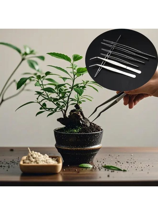 Stainless Steel Long Reach Tweezers 12 5cm Straight and Curved for Gardening Aquarium - Image 2