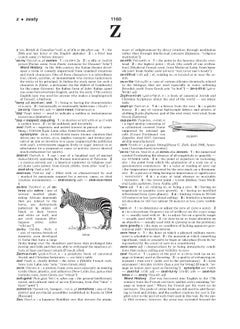 Merriam-Webster's School Dictionary  - Image 3