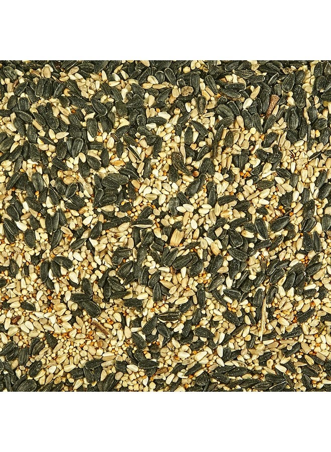 Kaytee Southern Regional Wild Bird Blend, 7-Pound Bag - Image 5