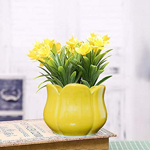 Niyara Ceramic Planter Lotus Shape for Indoor, Outdoor, Home, Office, Balcony, Decor,Garden Size - 7 inches (Yellow) - Image 1