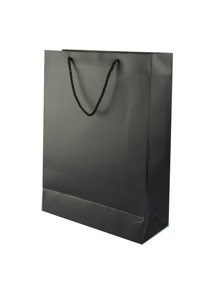 Party Time Party Time 12-Pieces 23x18x4cm Black Paper Bags, Party Gift Bag For Birthday, Wedding, Souvenir Bags - Party Supplies  - Image 1