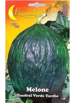 MELON Seeds
