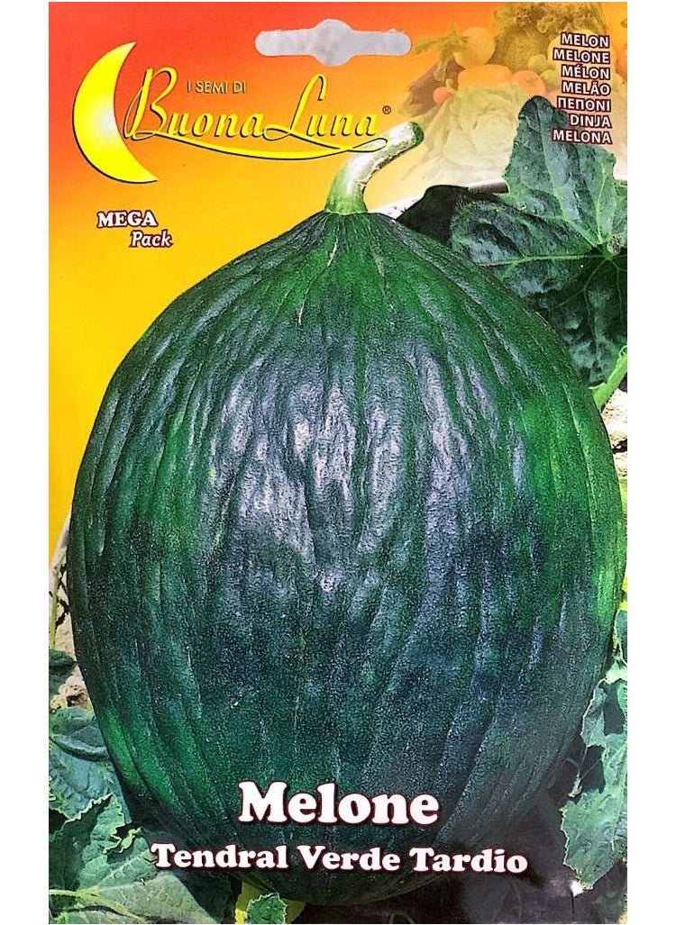 Buona Luna - MELON Seeds - Image 1