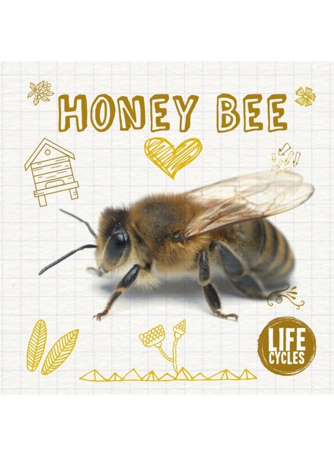Honey Bee - Hardback