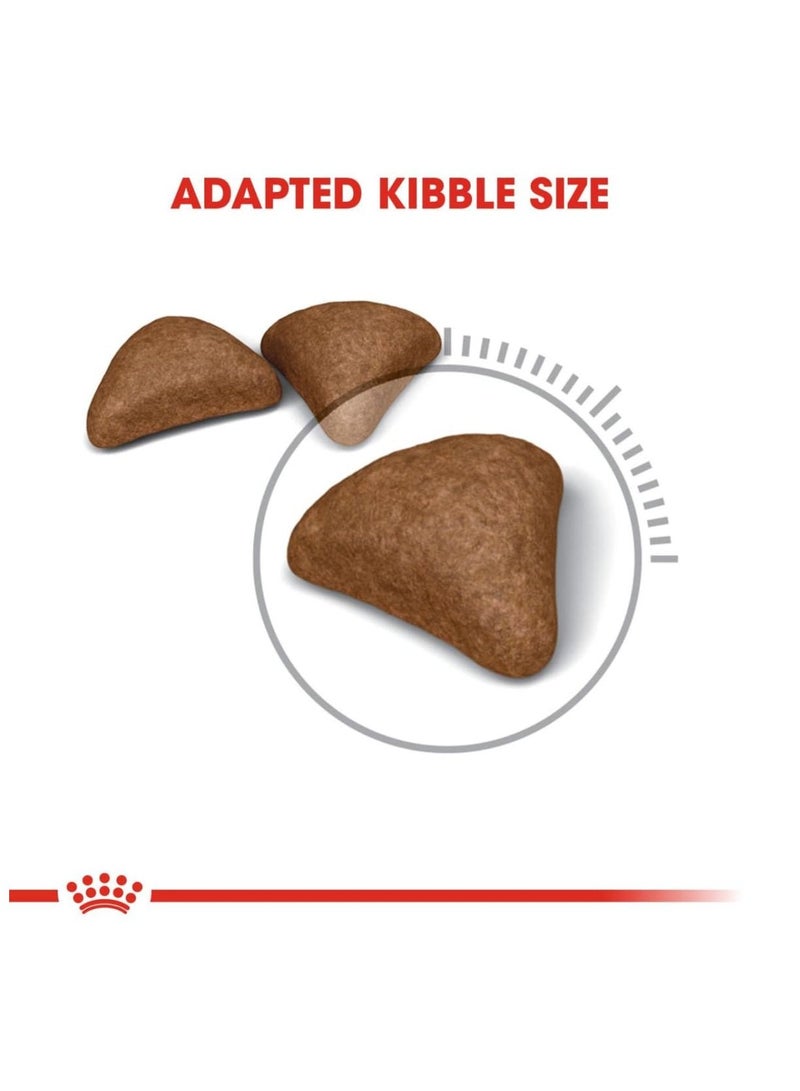 ROYAL CANIN طعام جاف للقطط للعناية بالشعر 4 كجم - Image 3