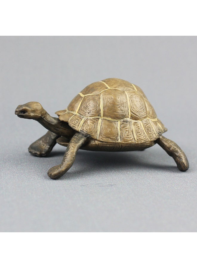 NIBEMINENT Realistic Turtle Model - Lifelike Children's Toy