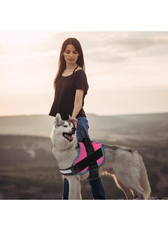 Bolux Dog Harness, No-Pull Reflective Dog Vest, Breathable Adjustable Pet Harness with Handle for Outdoor Walking - No More Pulling, Tugging or Choking X-Small (Pack of 1) RoseTurquoise