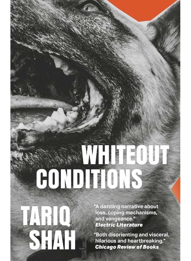 Whiteout Conditions