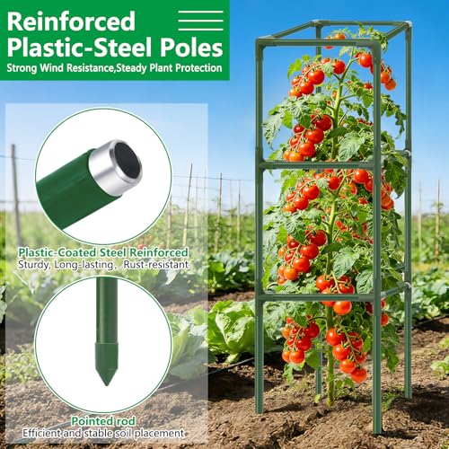 SprintGy 3 Pack Square Tomato Cages, 49'' Tall Heavy Duty Steel Tomato Trellis Kit for Garden, Plant Support Tower Stakes Cucumber Pepper Trellis for Climbing Vegetable Flowers - Image 3