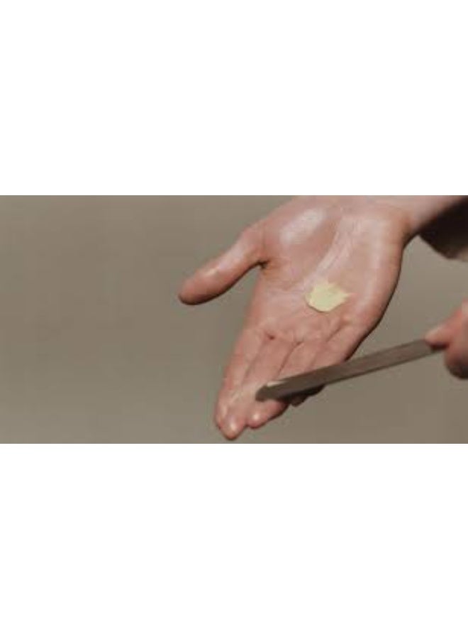 Aesop Camellia Nut Facial Hydrating Cream  120ML - Image 4