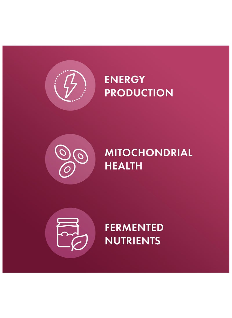 Dr. Mercola Organic fermented beets 60 capsules | dietary supplement  - Image 3