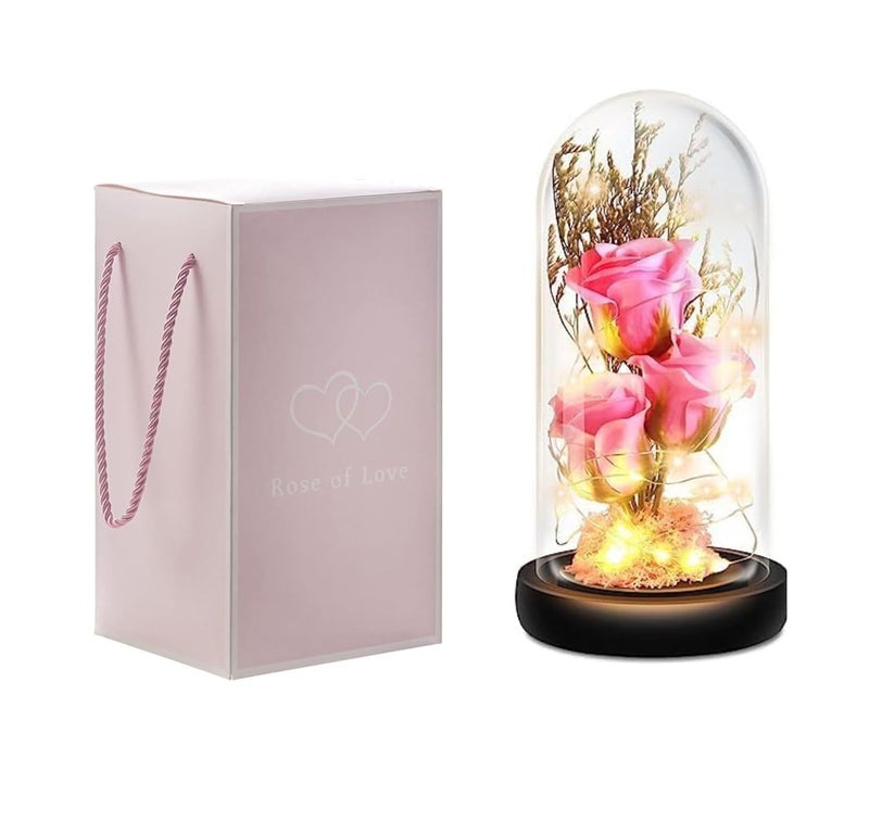 DARKNESS Gifts for Girlfriend Wife Love Marriage for Wife Rose Dome Valentine Gift for GirlfriendCute Birthday Gift for Wife Special Love Rose Flower Gift Natural - Image 1