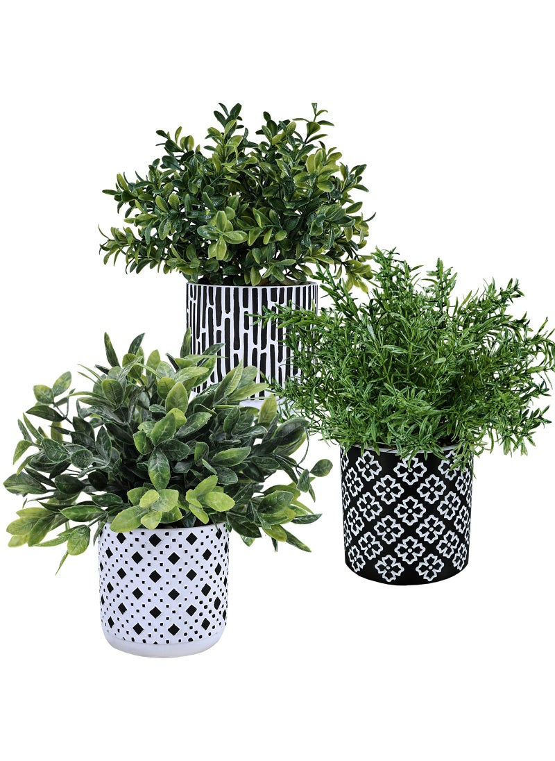 Winlyn Winlyn 3Pack Artificial Potted Plants  Faux Eucalyptus Rosemary Boxwood Greenery in Small Black  White Geometric Concrete Pots Desk Table Shelf Windowsill Decor for Indoor Outdoor Home Office 