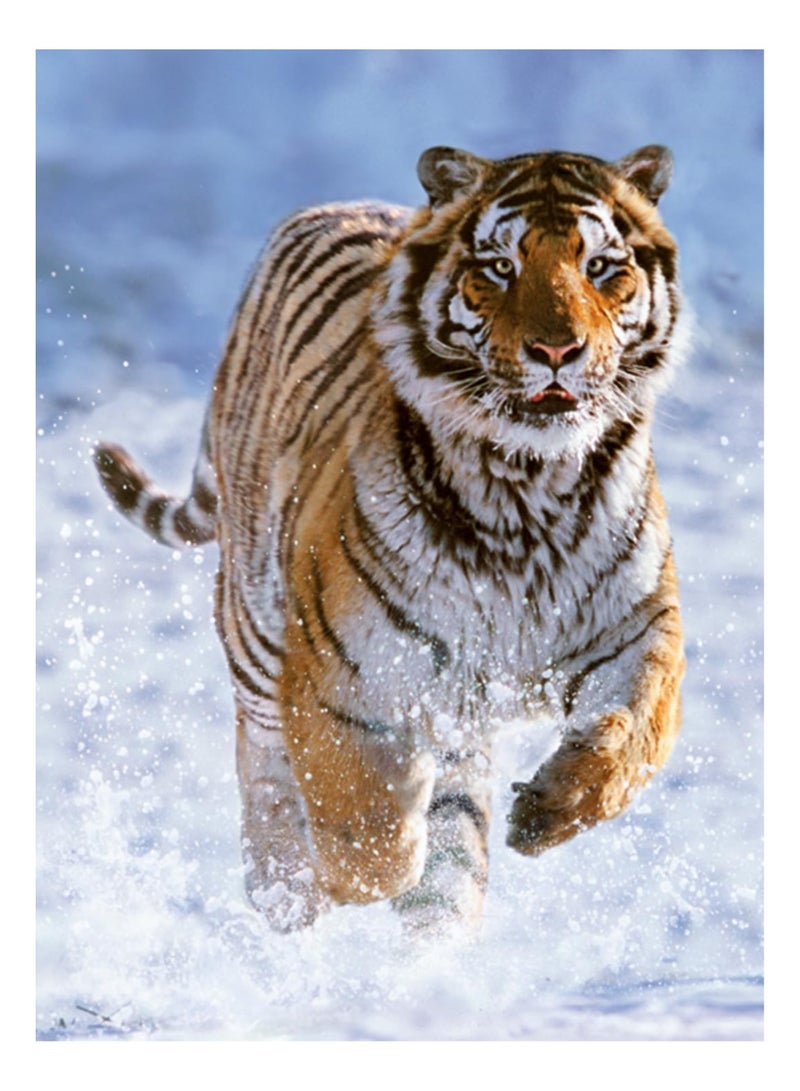Ravensburger Tiger in Winter Puzzle – 500 Piece Jigsaw Puzzle for Adults and Kids Featuring a Majestic Tiger in a Snowy Landscape, Premium Quality with Perfect Fit Pieces for Relaxing Fun | 12000148-5 - Image 3