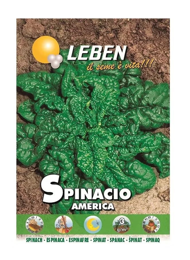 Leben Spinach (Spinacio America) Premium Quality Seeds Made in Italy