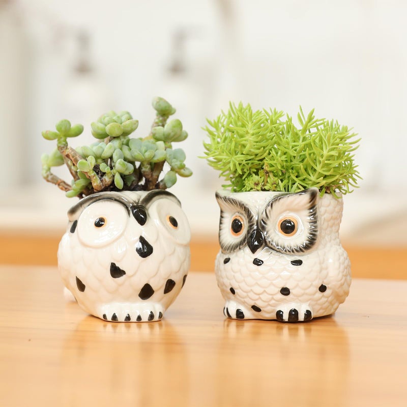 SE SUN-E Owl Ceramic Planters Mini Plant Pots 3Inch With Drainage Pen Pencil Holder Cute Decor Flower Planters Gift Packaging Herb Cactus Plant Pots Air Plant Kitchen Window Gardening Starter Set Teacher Gifts - Image 2