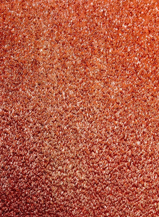 WEN 6SD80 80-Grit Adhesive-Backed 6" Disc Sandpaper (10 Pack) - Image 4