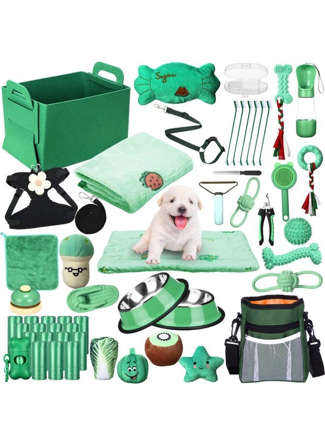 Abbylike 50 Pcs Puppy Supplies Starter Kit for Small Dogs Puppy Essentials Includes Leash, Bowls, Teeth Brushes, Water Bottle, and More Accessories for Dogs Christmas Welcome Gift(Green) - Image 1