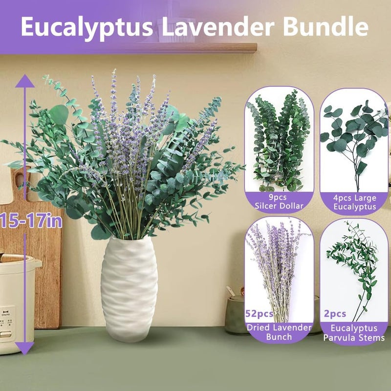 DTXMOH Shower Plant, 67 Stems Dried Eucalyptus and Lavender Bundle for Shower Hanging, Bathroom & Home Décor - Image 5