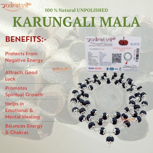 Rudratva Unisex 100% Natural Unpolished 8mm Karungali Malai Crafted with German Silver | Original Ebony Wood 54+1 Beads - with 2 Lab Certification | கருங்காலி மாலை - For Pooja, Jaap | with Pure Chandan & Bhasma - Image 4