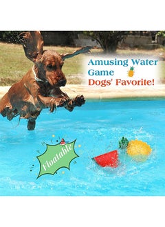 Dogs Chew Toys, Freezable Teether Cooling Dogs Teething Toys, Summer Dogs Ice Chewing Toys, Aquatic Fetch Dogs Treats Toys for Puppies, Small & Medium Dogs（Watermelon + Pineapple） - pzsku/ZC598268626E25DFFD390Z/45/_/1691547820/36b0346d-3f5a-4534-a4f4-b7d4bb9b3901