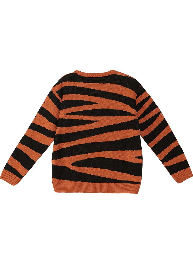 Denokids - Tiger Boy Brown Sweater - Image 1