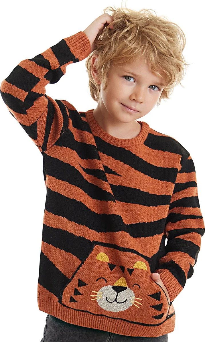 دينوكيدس Tiger Boy Brown Sweater