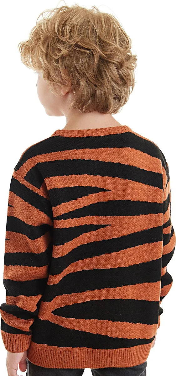 دينوكيدس Tiger Boy Brown Sweater