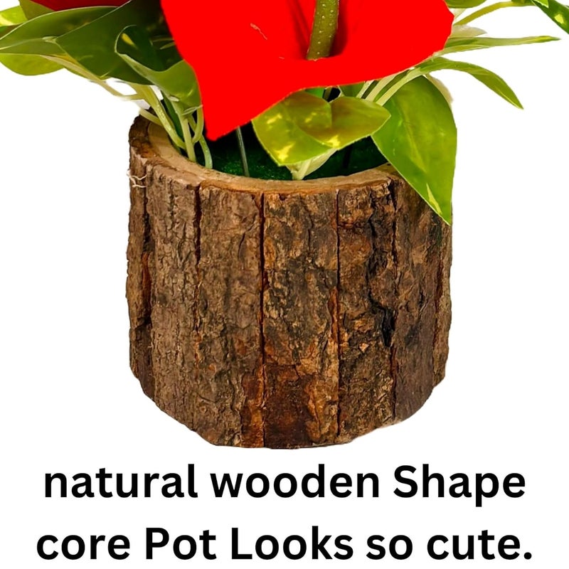 Dekorly Artificial Sunflowers, Rose, Anthurium Fake Flowers Potted Artificial Plants Decorative Artificial Flowers Indoors for Home Office | Natural Wooden Pot (Anthurium, Height : 18CM) - Image 4
