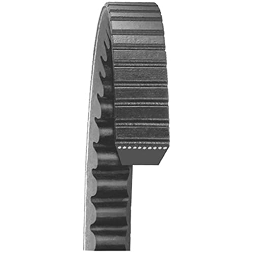 Dayco 22435 Accessory Drive Belt - Image 1