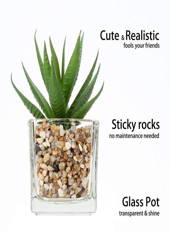 Briful Set of 4 Green Faux Succulent Plants in Clear Glass Pots, Small Fake Succulents, Mini Faux Plants, Indoor for Window Sill, Office Table, Desk Shelf, Bathroom Decor - Image 3