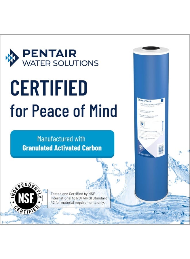 Pentair فلتر مياه كربوني من بينتاير بينتيك GAC-10، 10 بوصة، خرطوشة بديلة من الكربون المنشط تحت الحوض، 10" × 2.5"، أزرق - Image 3