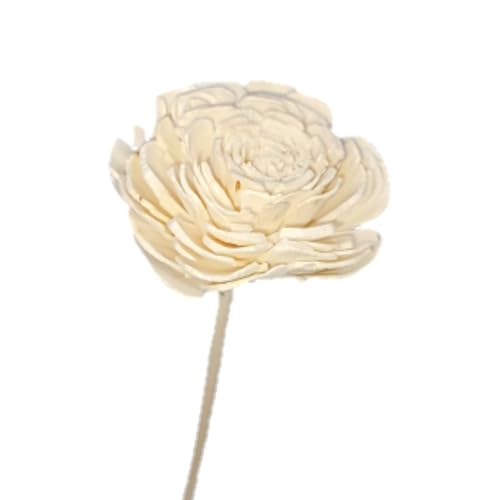 Crazy Sutra Premium Bleached Reed Flower Sticks for Reed Diffuser Natural Fiber Sticks for Superior Wicking,Precise Cutting,Performance, Perfect for Diffusing Your Favorite Fragrances Pack of 10 - Image 4