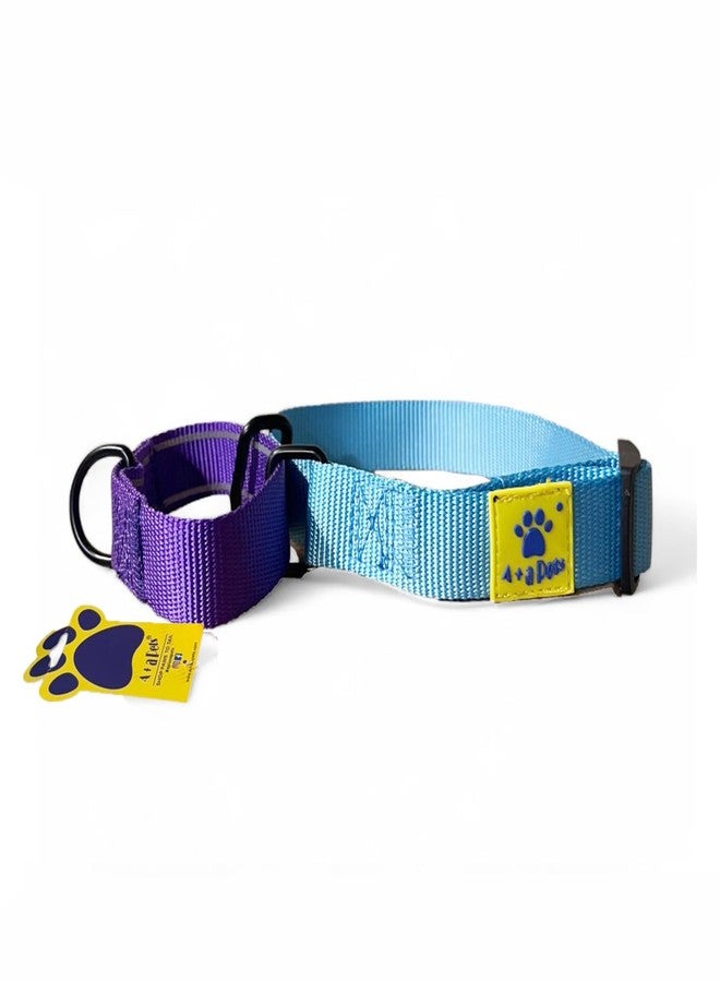 A+a Pets Martingale Dog Collar | No Pull Design,No Neck Strain,No Choke Design | for Large & Medium Dogs | Rust Free,Waterproof Nylon Training Collar (Light Blue & Purple),20 x 2.5 cm - Image 1