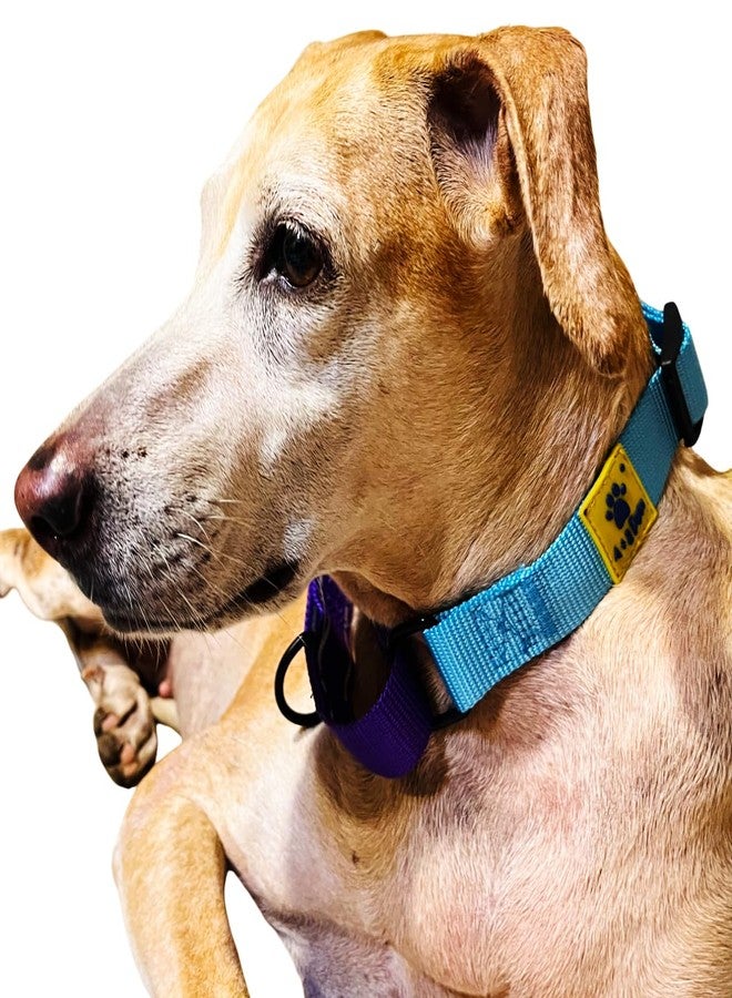 A+a Pets Martingale Dog Collar | No Pull Design,No Neck Strain,No Choke Design | for Large & Medium Dogs | Rust Free,Waterproof Nylon Training Collar (Light Blue & Purple),20 x 2.5 cm - Image 3