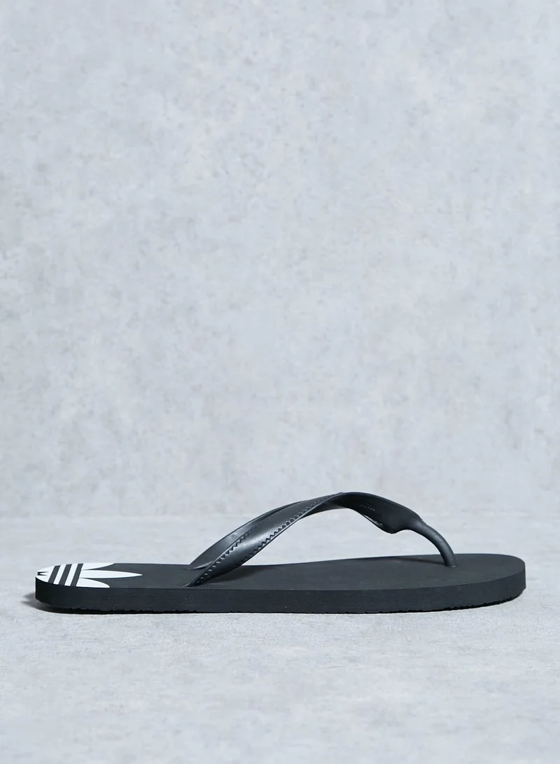 adidas Originals Adi Sun