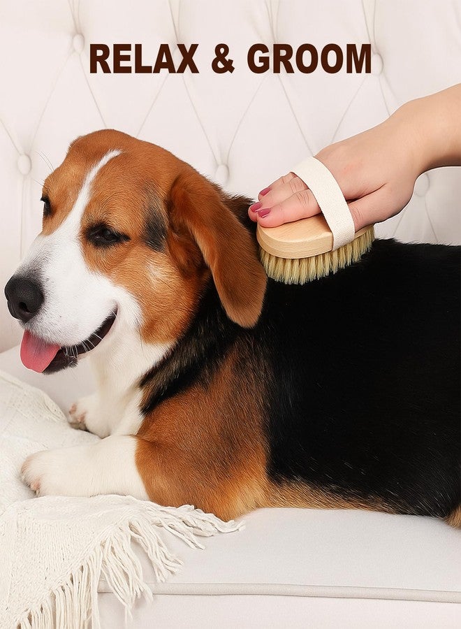 TWPER Dog Cat Brush for Short Hair Pet, TWPER Soft Boar Bristle Pet Palm Grooming Brush Gentle Hair Removal Massage - Image 2