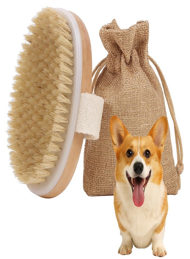 TWPER Dog Cat Brush for Short Hair Pet, TWPER Soft Boar Bristle Pet Palm Grooming Brush Gentle Hair Removal Massage - Image 1