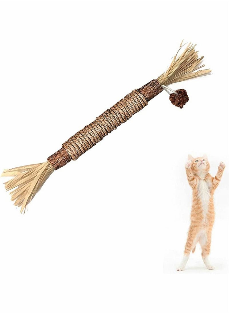 Excefore - 1 Pack Natural Silvervine Sticks Cat Toys, Catmint Silvervine Blend Sticks, Catnip Cat Chew Toys for Kittens Teeth Cleaning - Image 1