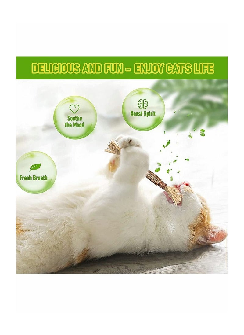 Excefore - 1 Pack Natural Silvervine Sticks Cat Toys, Catmint Silvervine Blend Sticks, Catnip Cat Chew Toys for Kittens Teeth Cleaning - Image 1